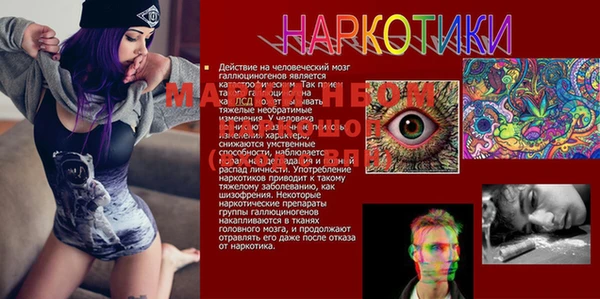 тгк Горно-Алтайск