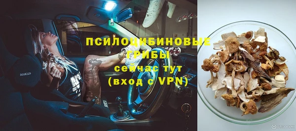 тгк Горно-Алтайск